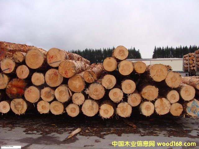 �����mݗ����ԭľ��Ԕ��(x��)��B