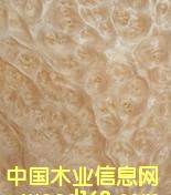 ɽ��������Ԕ����B