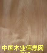 ���ЊW������Ԕ����B