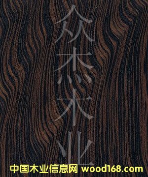 ����ľƤ��̴������l(f��)��