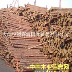 ���~�ɵ�Ԕ����B