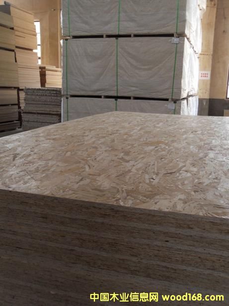 �����W����ľ�����ٻ���