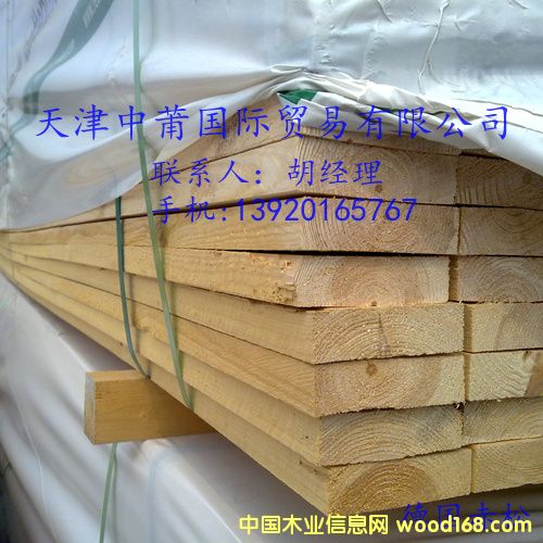 赤松的詳細(xì)介紹