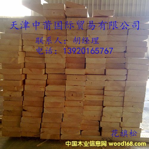 花旗松的詳細(xì)介紹