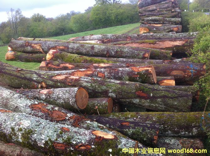 �·�BC������ԭľ��Ԕ����B