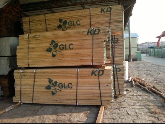 �����t���Ԕ��(x��)��B