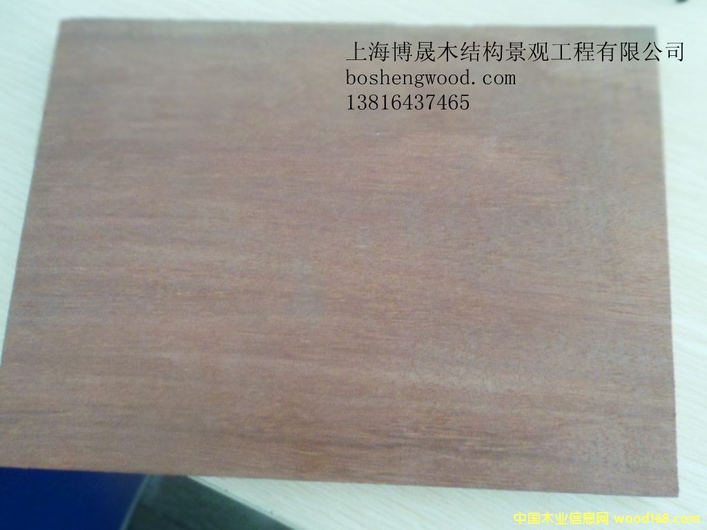 梢木的詳細(xì)介紹