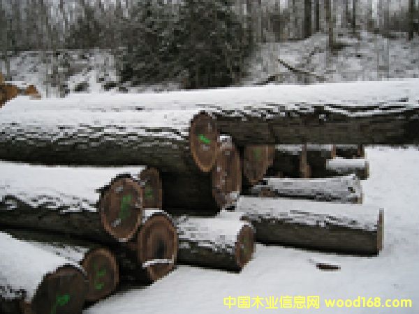 ����(gu��)�ں���ԭľ��Ԕ��(x��)��B