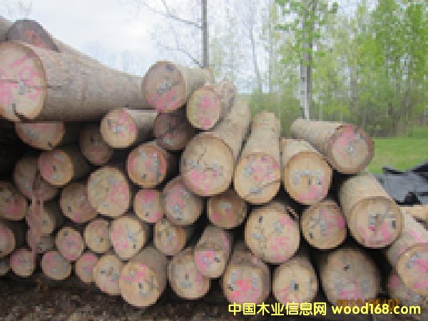 ����(gu��)ɽ����ԭľ��Ԕ��(x��)��B