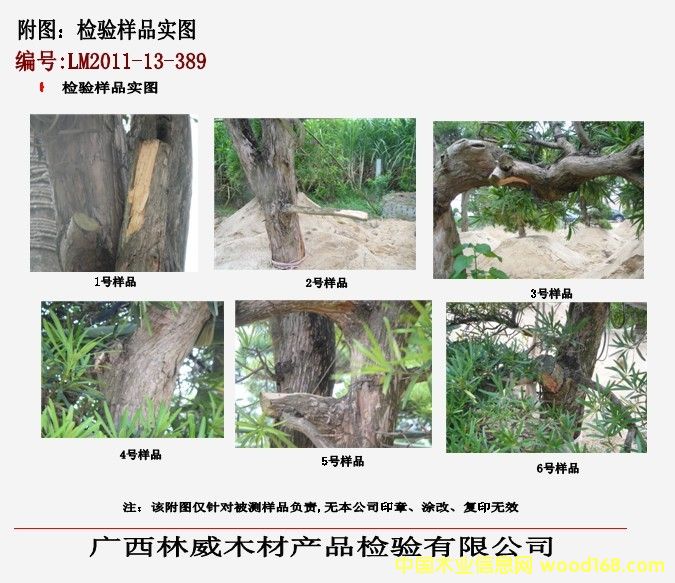 �z�(y��n)��(sh��)�D