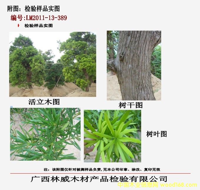 �z�(y��n)��(sh��)�D��Ԕ��(x��)��B