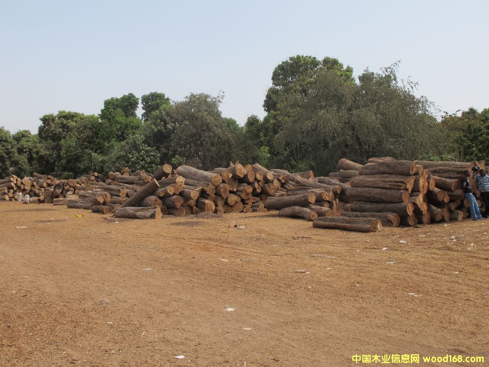 �����̴��Ԕ��(x��)��B