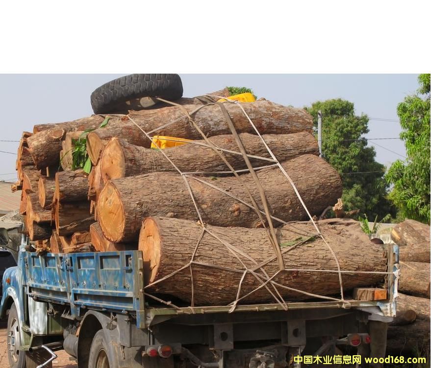 �����̴��Ԕ��(x��)��B