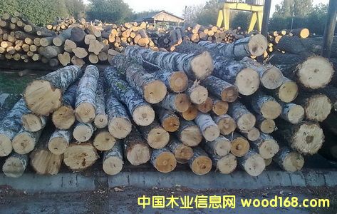 �����m��ľ��Ԕ��(x��)��B