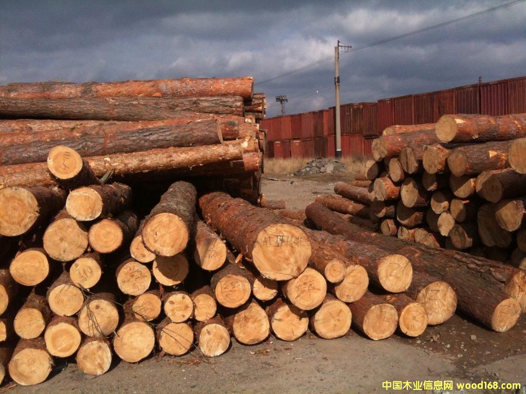 �����m�����ɵ�Ԕ��(x��)��B