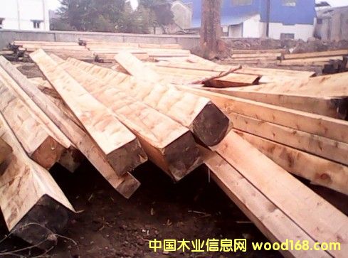 �t�ɴ�3-6�׵�Ԕ����B