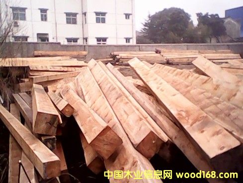 �M�ڼt�ɴ󷽵�Ԕ����B