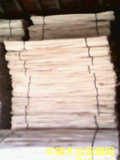 楊木皮的詳細(xì)介紹