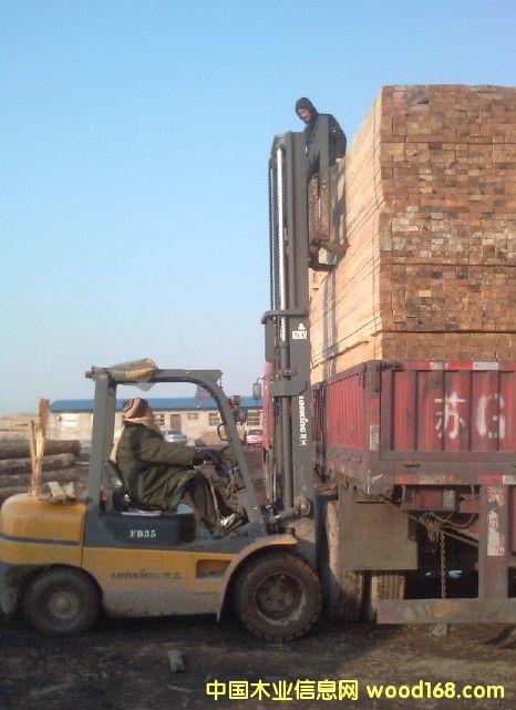 ݗ���ɷ�ľ��Ԕ����B