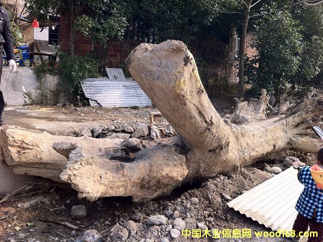 ǧ���ľ��Ԕ����B