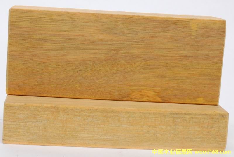 巴蒂木的詳細介紹