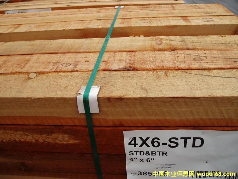 �tѩ�ɵ�Ԕ��(x��)��B