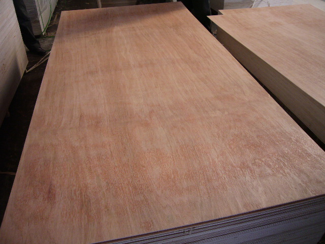 ��ľ����z�ϰ��Ԕ��(x��)��B