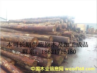 ԭľ��Ԕ��(x��)��B