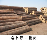 ���_˹�M(j��n)�����~�����ӵ�Ԕ��(x��)��B