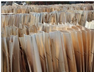 ��ľ��Ƥ��Ԕ����B