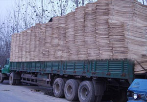 ��ľ��Ƥ��Ԕ����B