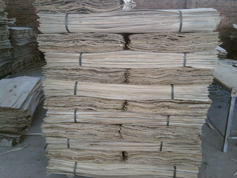 ��ľ��Ƥ��Ԕ����B