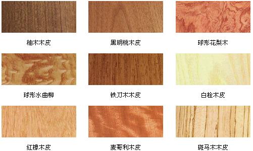 �N����Ԕ��(x��)��B