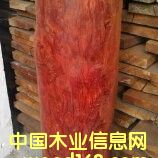 �Ჴ����̴��Ԕ����B