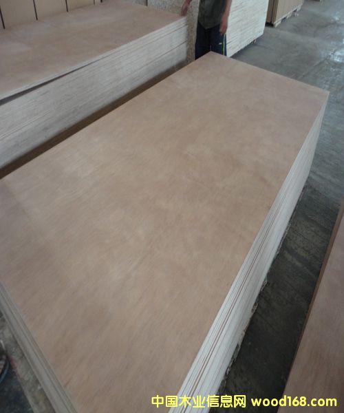 Ⱥ�����Ӱ�12mm