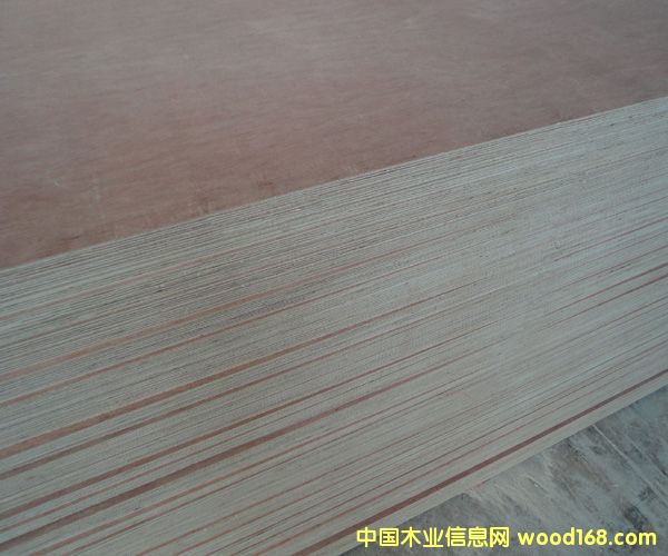 ���s���Ӱ�