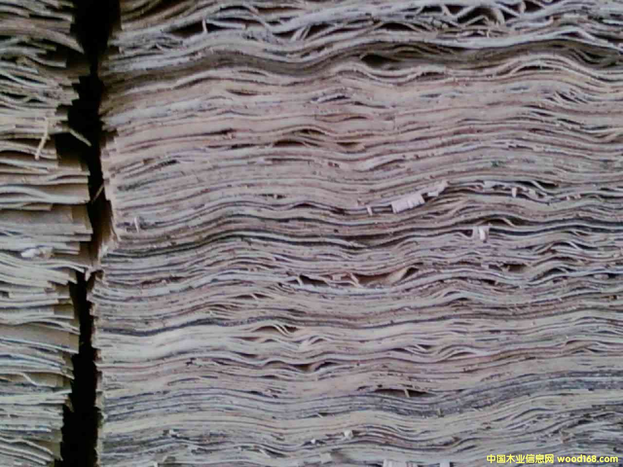 ��ľ�ΰ�1��Ԕ��(x��)��B