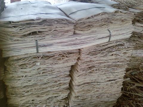 ��ľ�ΰ��Ԕ��(x��)��B