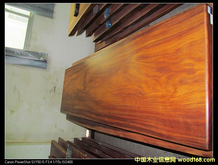 非波的詳細(xì)介紹