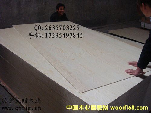 ��ľ�N���z�ϰ�/�Ҿ߰�