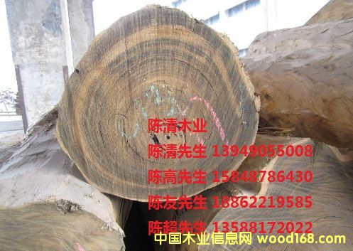 �G̴��Ԕ����B