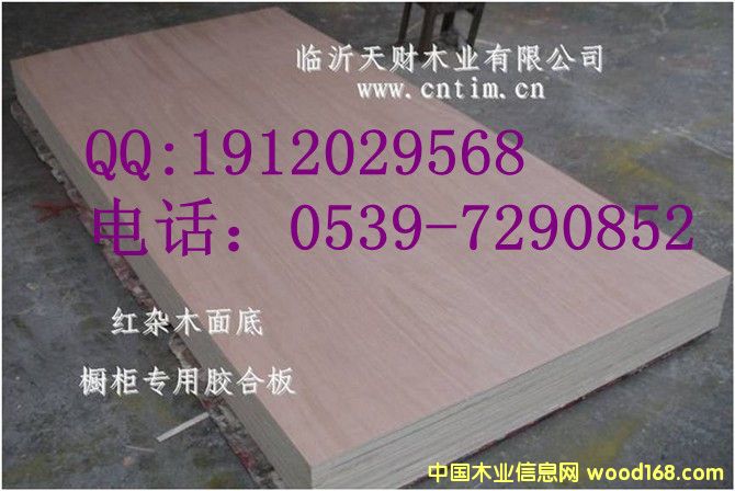 ��ľ�z�ϰ���Ӱ�A���Ԕ��(x��)��B