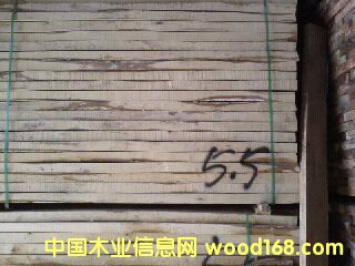 ��ľ��Ԕ����B