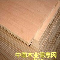 ��(x��)ľ����(����о����Ԕ��(x��)��B