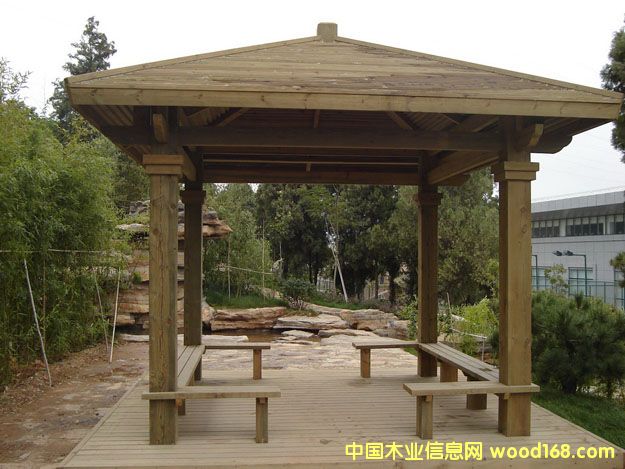 ���v����ľ��Ԕ��(x��)��B