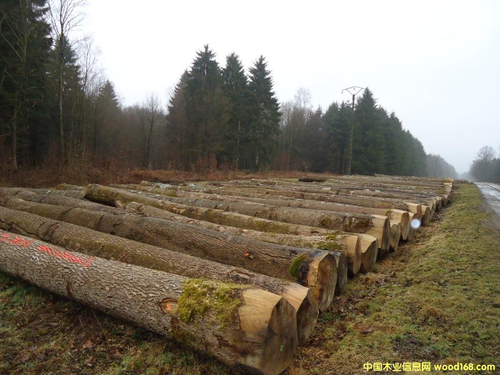 ��ֱ����Ϟ��Ԕ��(x��)��B