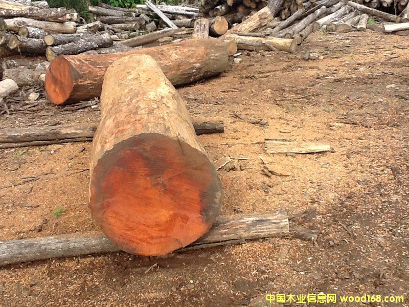 ��Ƥ���� �ذ��ütľ