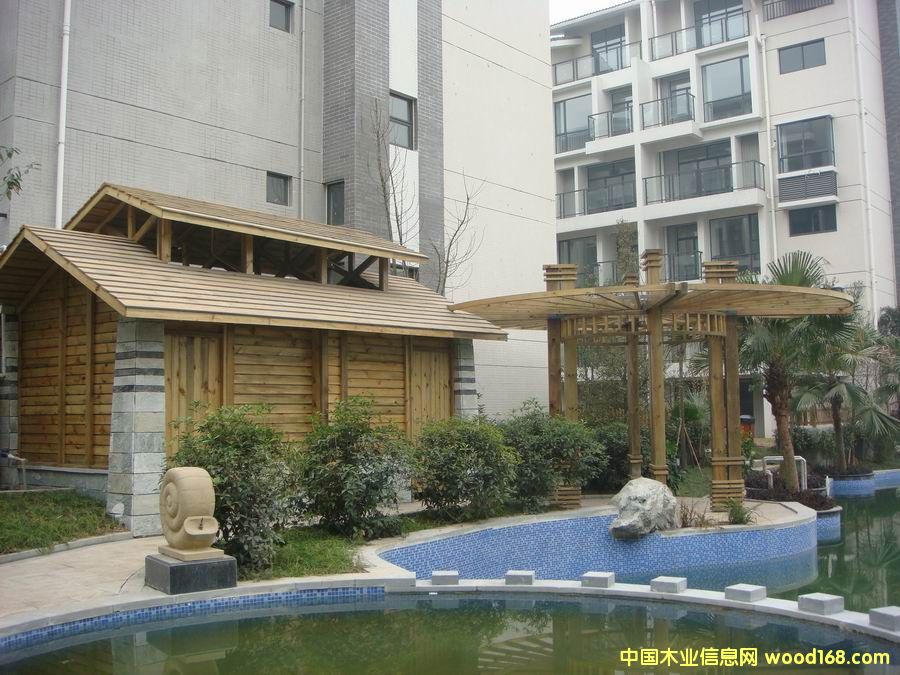 ��ľ��Ԕ��(x��)��B