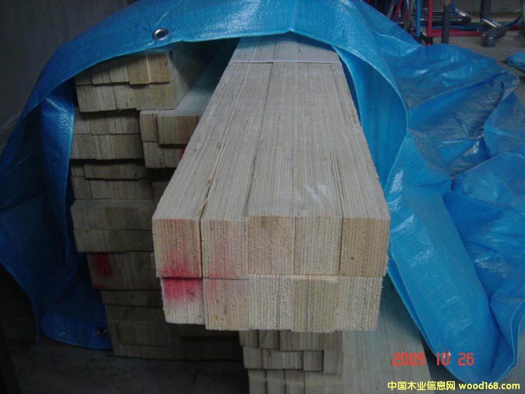 �������a(ch��n)�\ݔ���b�ó�����Ѭ��ľ��LVL