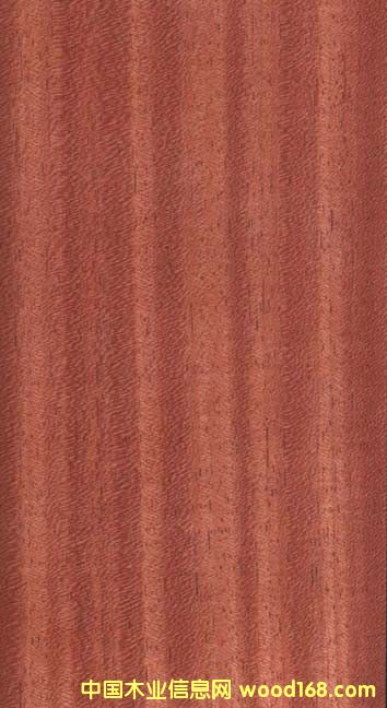 [��] �T�����ذ�|�T��CCA����ľ��r|�T������r|